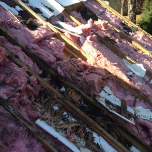 A mess of roof insulation. Ice Dams!